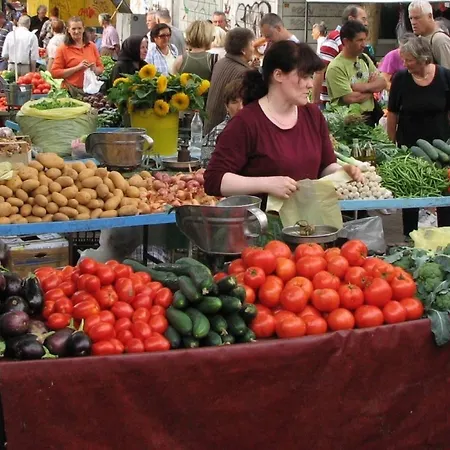 Classy In The Center Of Split