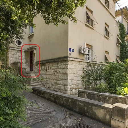 Classy In The Center Of * Split