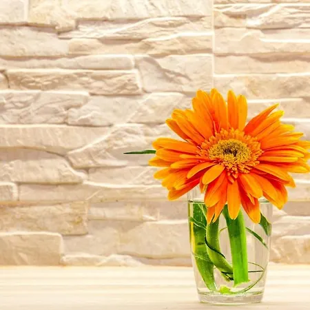 Classy In The Center Of Διαμέρισμα Σπλιτ