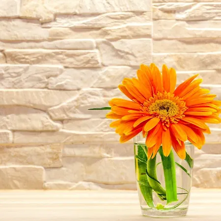 Classy In The Center Of * Σπλιτ